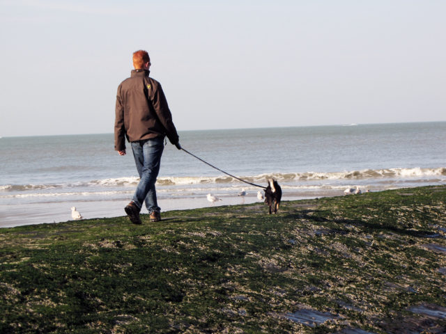 Foto van Lenten Floris